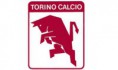 Orecchini TORINO FC o altre squadre di calcio